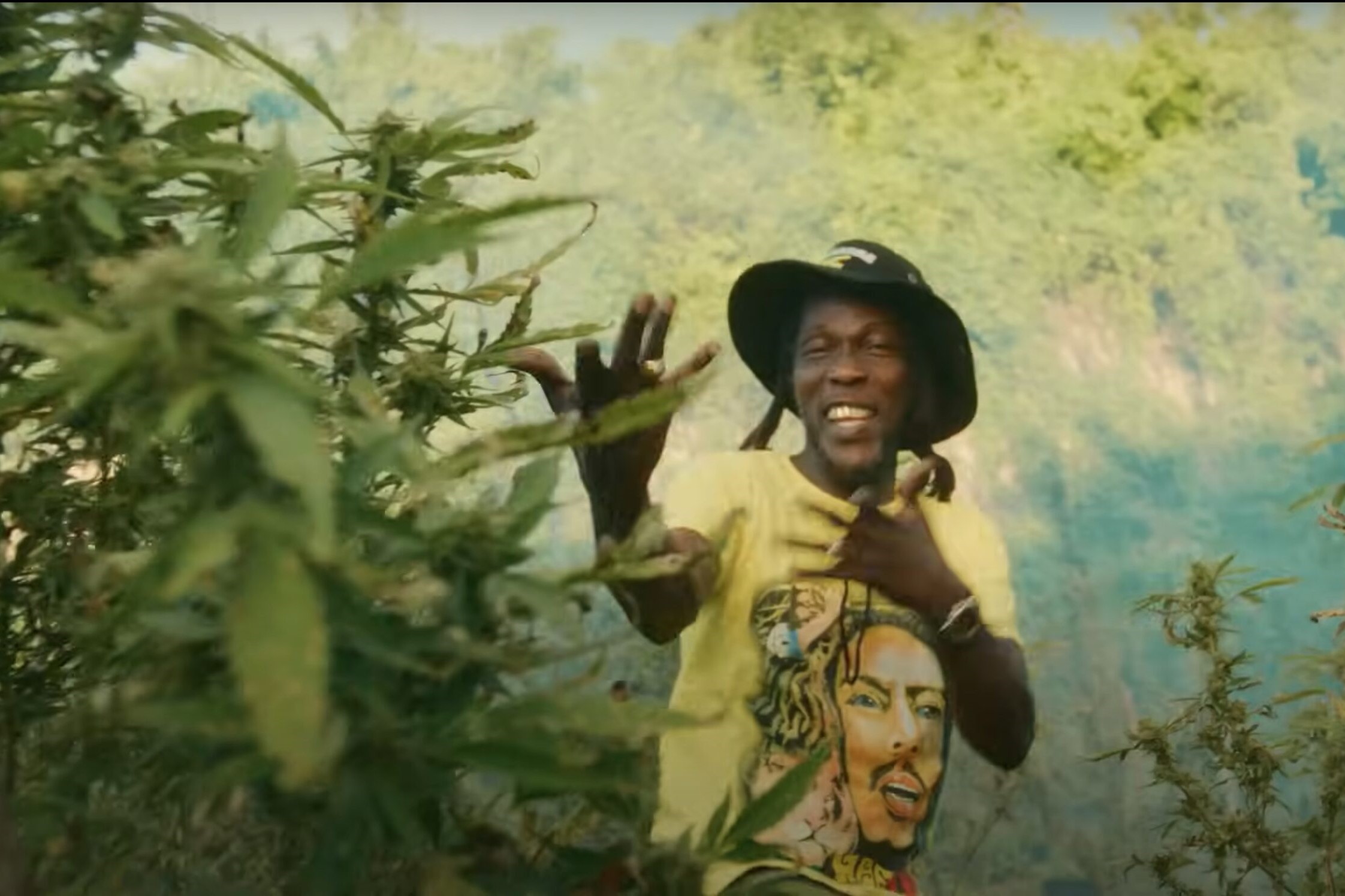 Blaze Up! The Best Reggae Weed Songs to Ignite Your 420 Vibes